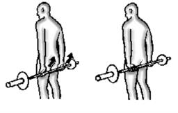 Avambracci con bilancere posteriore