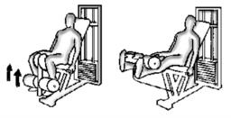 Leg extension