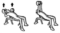 Panca inclinata con manubri