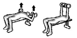 Panca piana con manubri