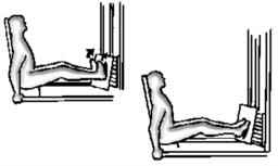 Polpacci alla pressa seduto