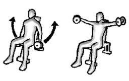 Alzate laterali con manubri seduto